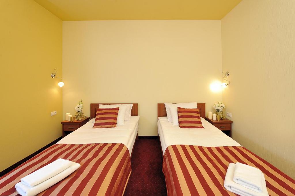 Двухместный (Двухместный номер с 1 кроватью) отеля Hotel Na Błoniach, Бельско-Бяла