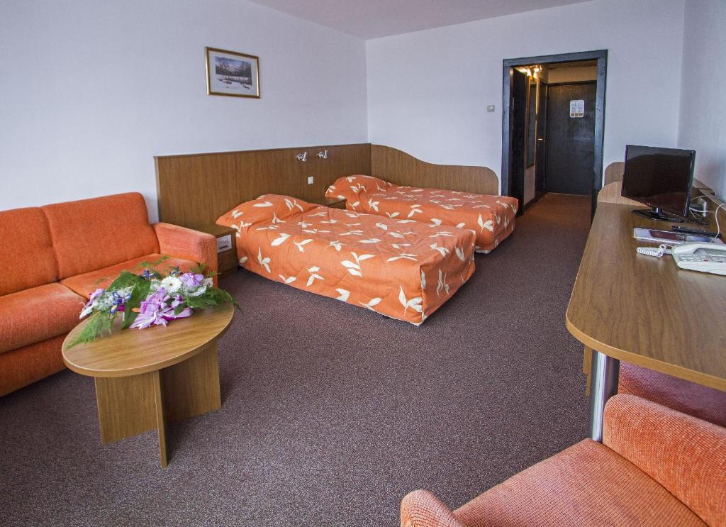 Двухместный (Двухместный номер с 2 отдельными кроватями (для 2 взрослых и 1 ребенка в возрасте до 11 лет) - Доступ в спа-центр) отеля Hotel Samokov, Боровец
