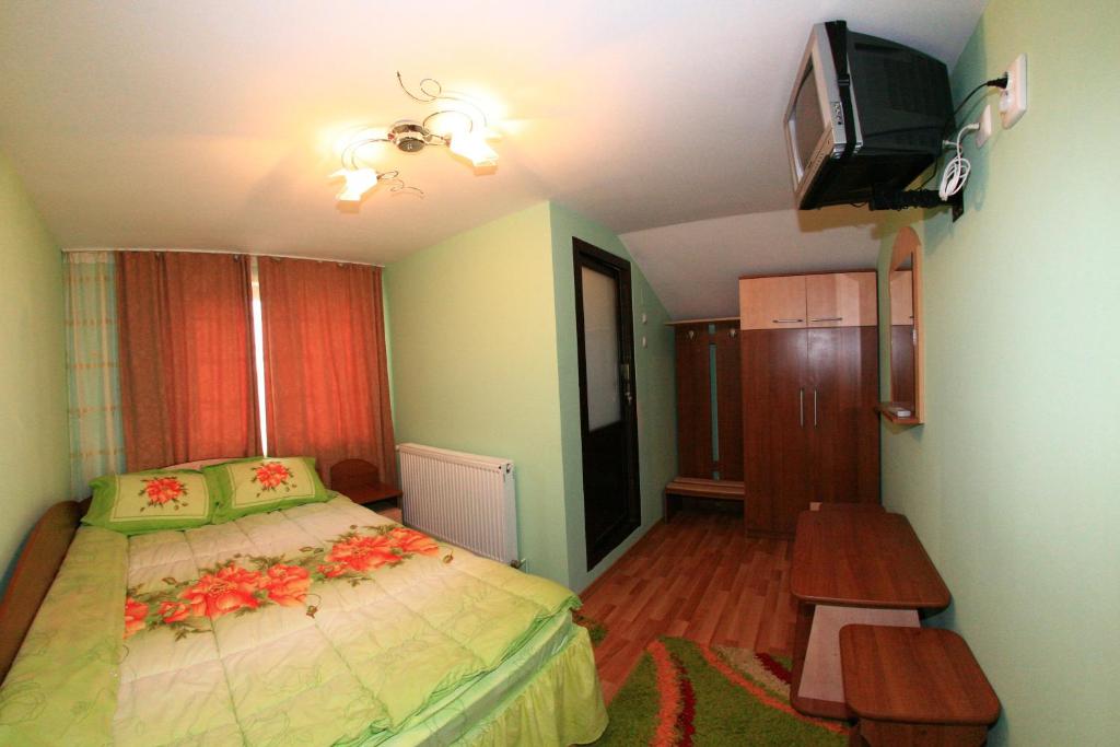 Двухместный (Двухместный номер с 1 кроватью), Pensiunea Valea Ursului