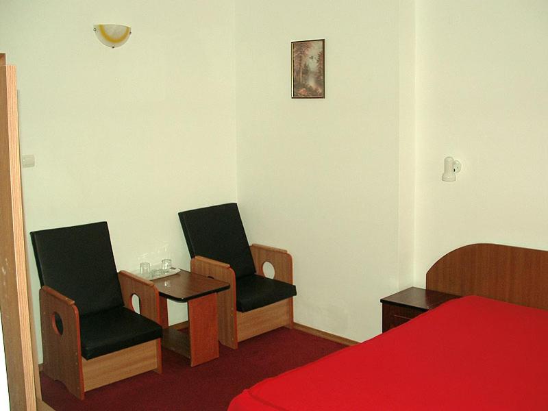 Двухместный (Двухместный номер с 1 кроватью) отеля Hotel Uranus, Бухарест