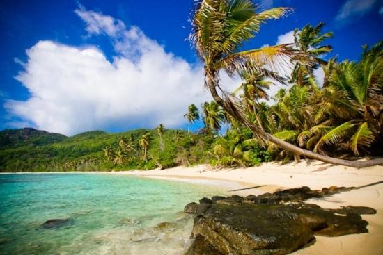 Вилла (Вилла с 4 спальнями рядом с пляжем), Beach House at Anse Forbans