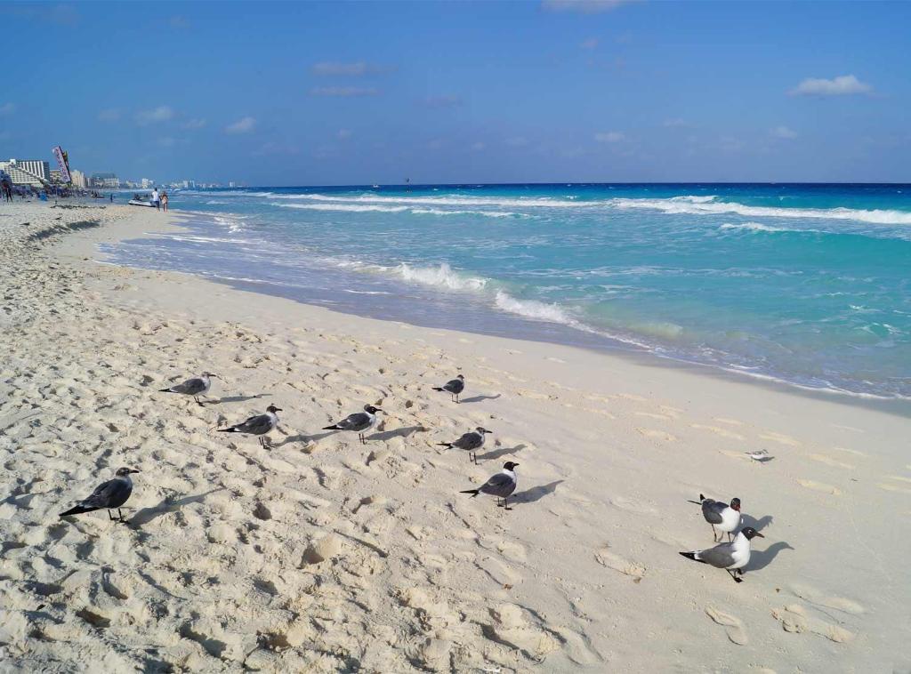 Апартаменты (Апартаменты-студия с видом на море), Apartment Ocean Front Cancun