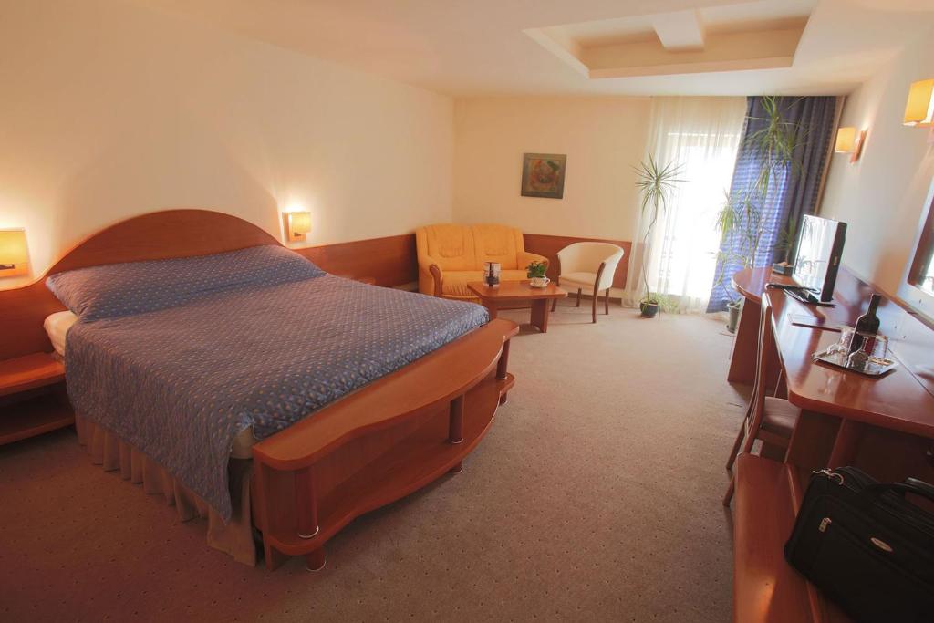 Двухместный (Двухместный номер с 1 кроватью) отеля Hotel Irisa, Бухарест