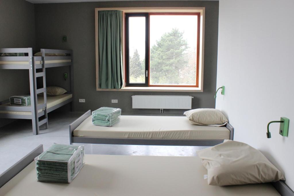 Номер (Спальное место на двухъярусной кровати в общем номере для женщин) хостела Hostel Groeninghe, Кортрейк