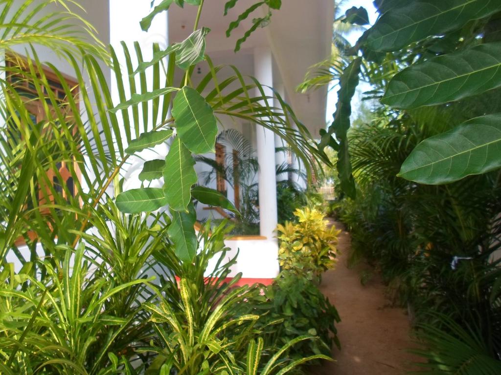 Двухместный (Двухместный номер с 1 кроватью, вид на сад) отеля Yoho Surf and Sand Hotel, Аругам
