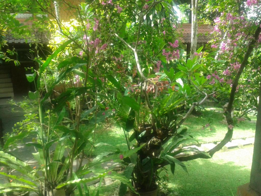 Одноместный (Стандартный одноместный номер), Indraprastha Ubud Home Stay