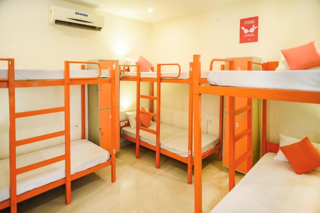 Номер (Кровать в общем 6-местном номере для мужчин и женщин) хостела Zostel Jaipur, Джайпур