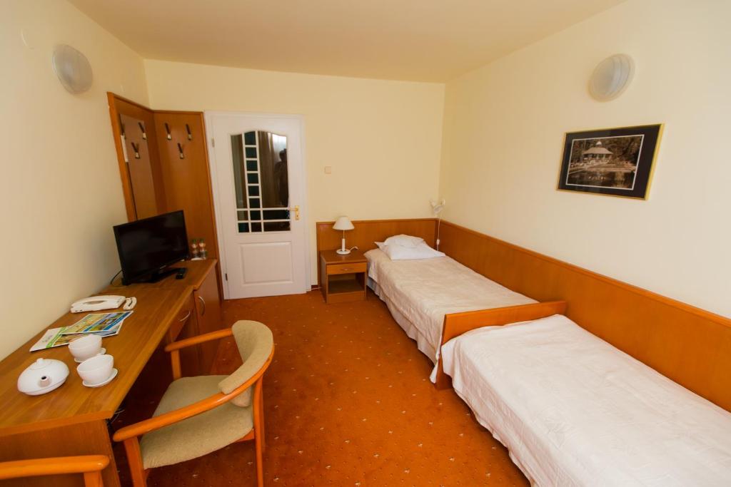 Двухместный (Двухместный номер с 2 отдельными кроватями) курортного отеля Geovita Krynica-Zdroj, Крыница