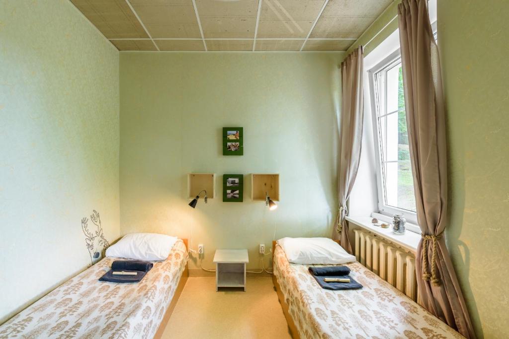 Трехместный (Трехместный номер с общей ванной комнатой) хостела Downtown Forest Hostel & Camping, Вильнюс