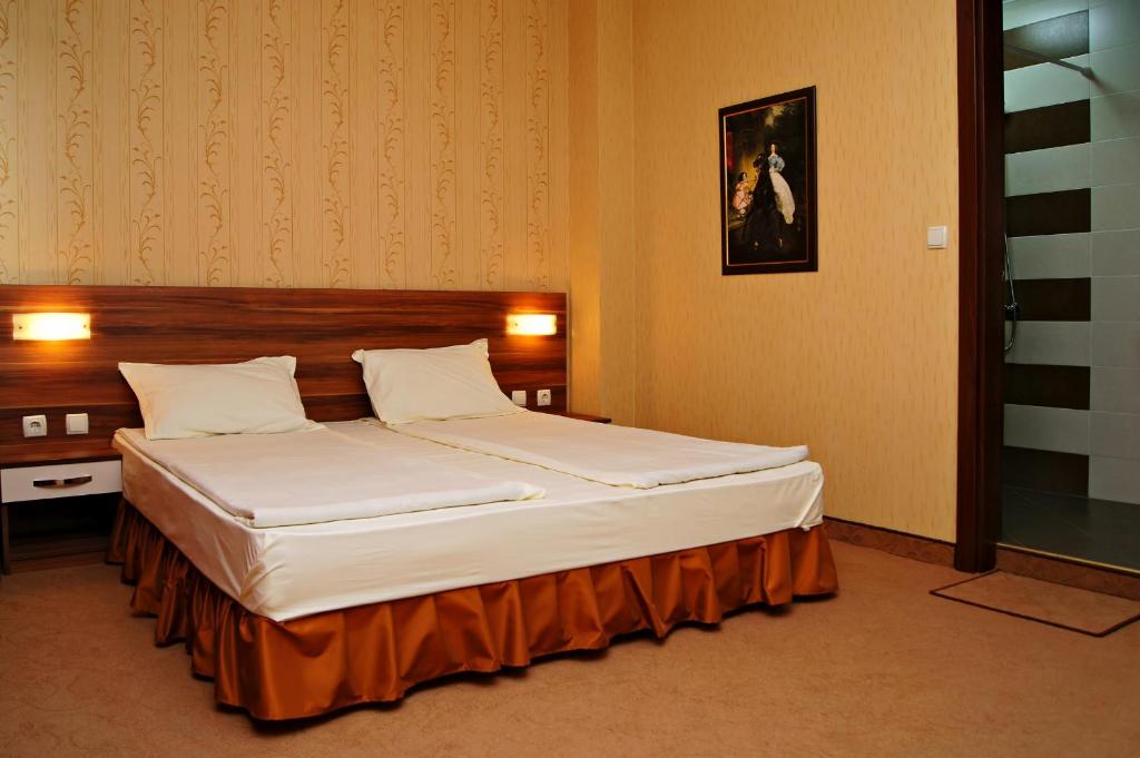 Двухместный (Двухместный номер с 1 кроватью или 2 отдельными кроватями) отеля Family Hotel Ramira, Кюстендил