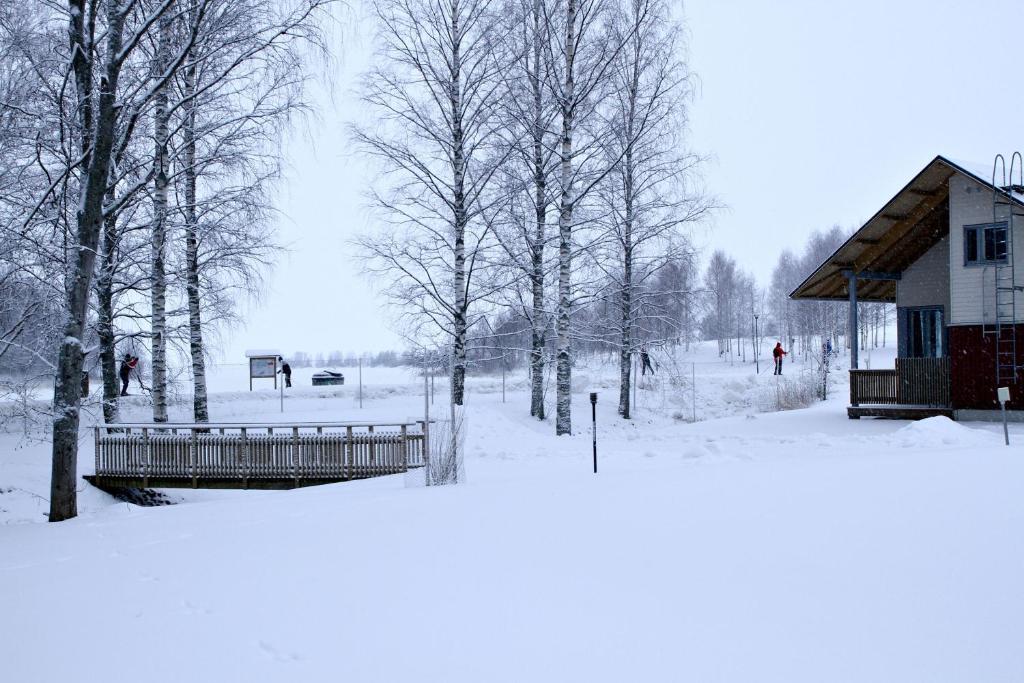 Апартаменты (Апартаменты с 1 спальней и сауной), Holiday Linnunlahti