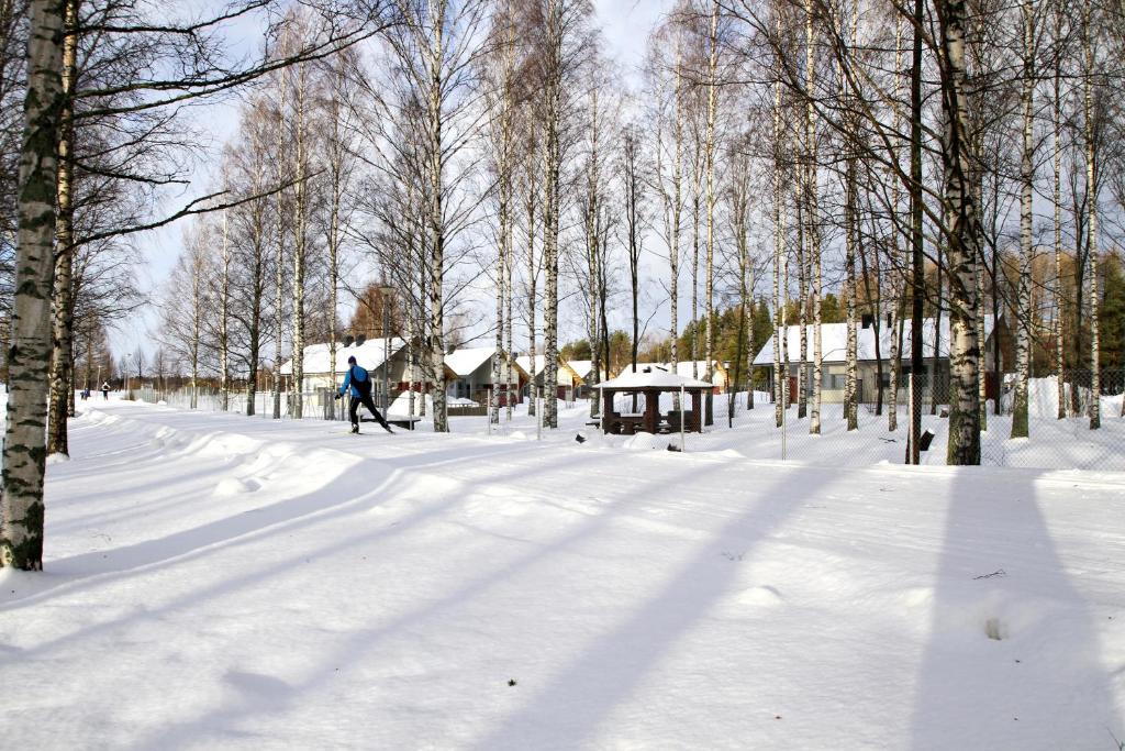 Апартаменты (Апартаменты с 1 спальней и сауной), Holiday Linnunlahti