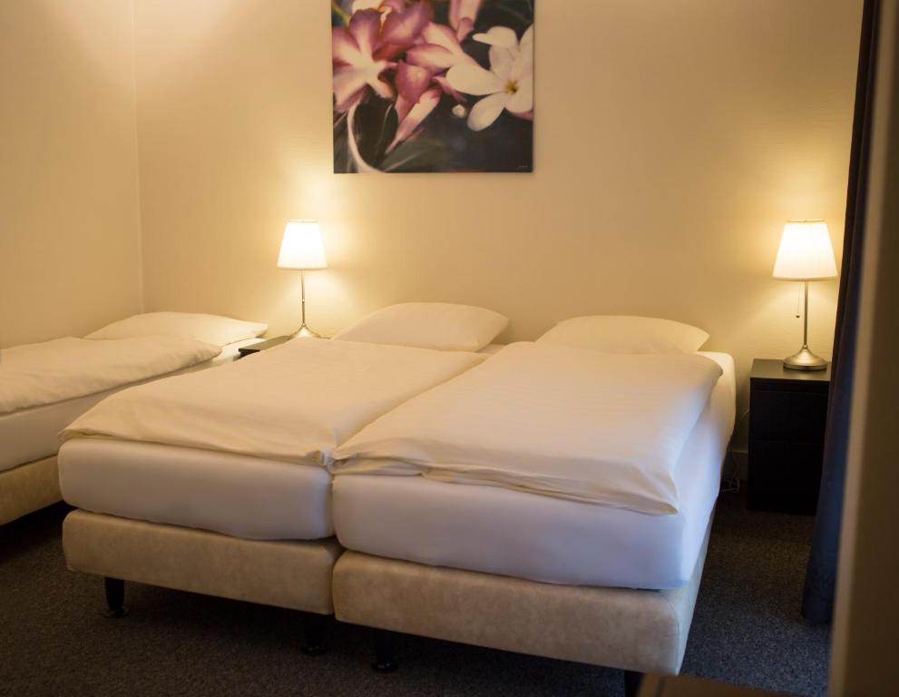 Двухместный (Двухместный номер с 2 отдельными кроватями и собственной ванной комнатой) отеля Hotel Restaurant Sevenster, Арнем