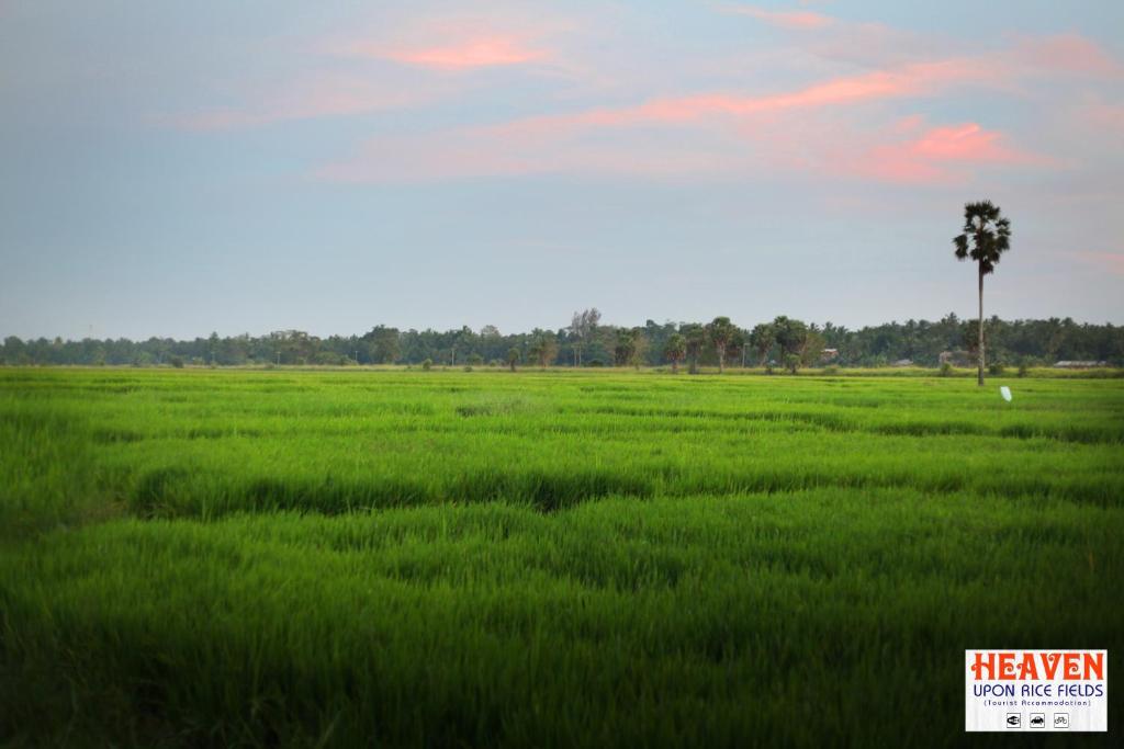 Отель Heaven Upon Rice Fields, Анурадхапура