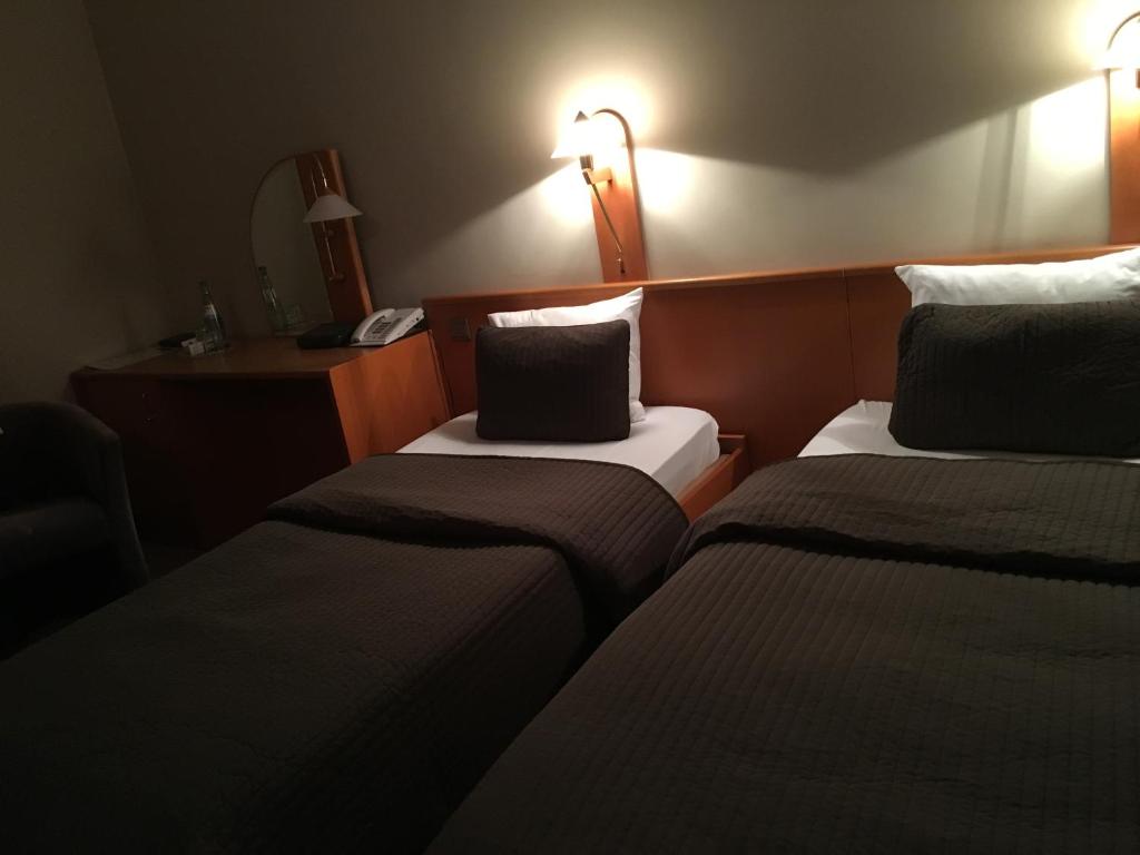 Двухместный (Классический двухместный номер с 1 кроватью или 2 отдельными кроватями) отеля Hotel The New Fox, Алст