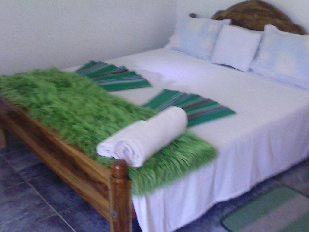 Двухместный (Бюджетный двухместный номер с 1 кроватью) семейного отеля Sigiriya Camellia Home Stay, Сигирия