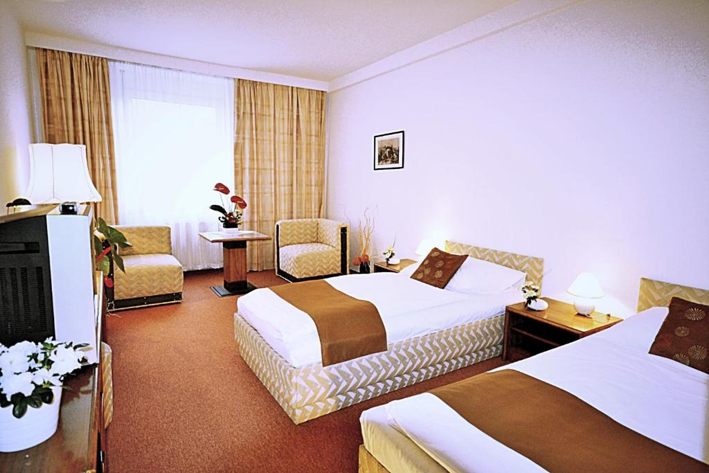 Двухместный (Двухместный номер с 1 кроватью или 2 отдельными кроватями, бесплатная парковка) отеля A-Austerlitz, Брно
