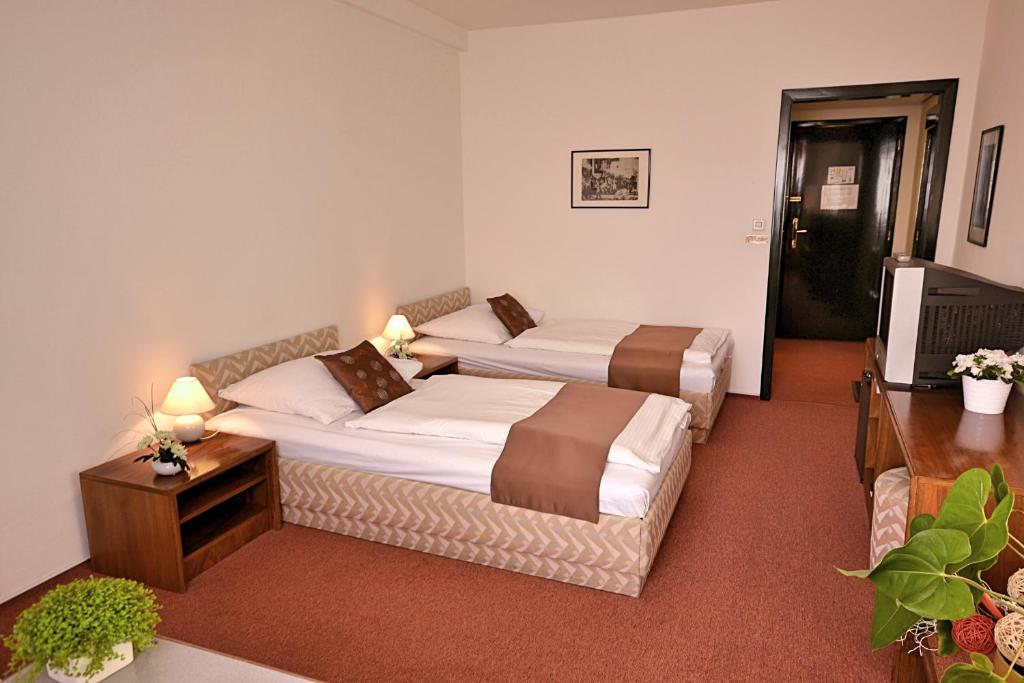 Двухместный (Двухместный номер с 1 кроватью или 2 отдельными кроватями) отеля A-Austerlitz, Брно