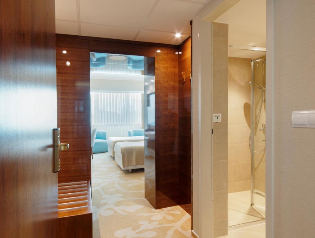 Двухместный (Двухместный номер с 1 кроватью или 2 отдельными кроватями с пакетом оздоровительных процедур) отеля Lotus Therm Spa&Luxury Resort, Бэйле-Феликс