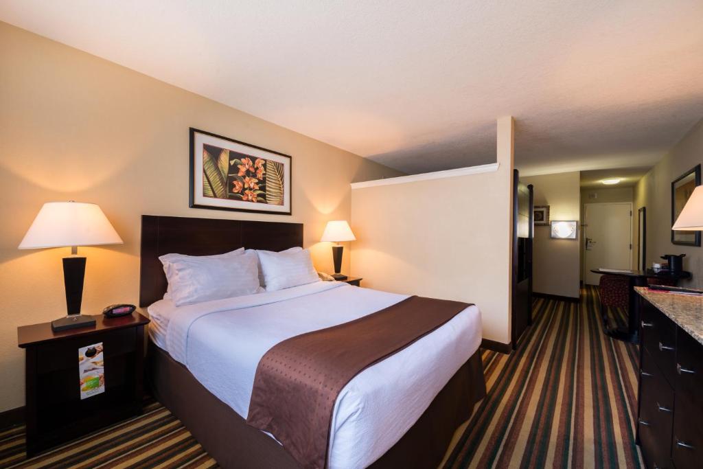 Двухместный (One-Bed Room -  Non-Smoking), Holiday Inn Orlando SW – Celebration Area, an IHG Hotel