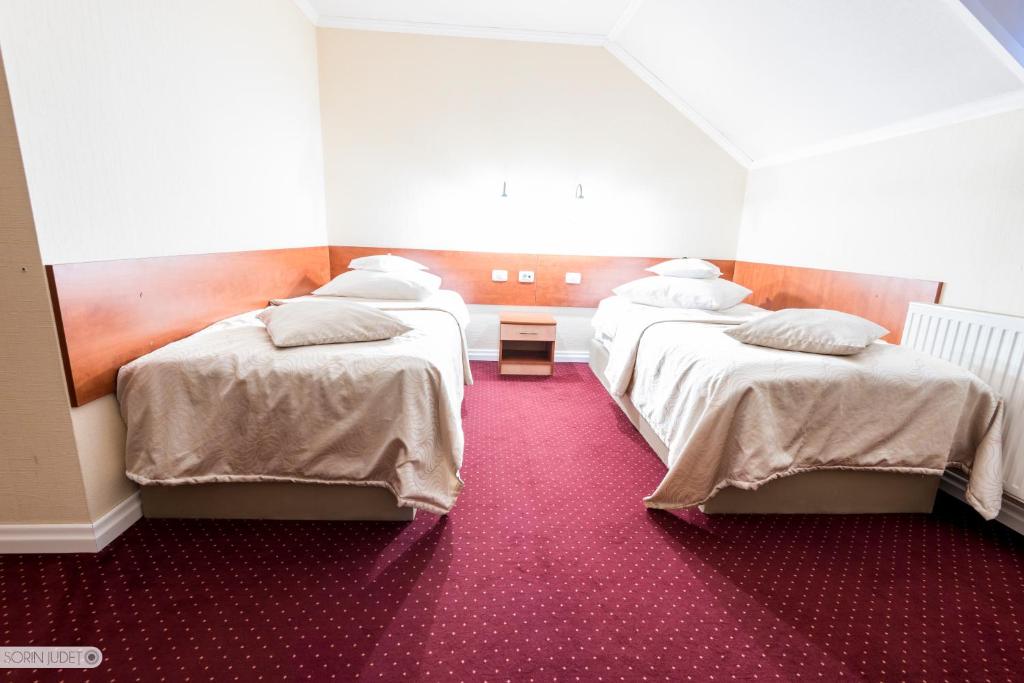 Двухместный (Стандартный двухместный номер с 2 отдельными кроватями) гостевого дома Pensiunea Terra, Бистрица