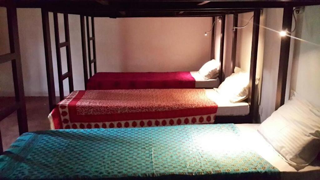 Номер (Односпальная кровать Делюкс в общем номере с 8 кроватями) хостела Red Door Hostel, Анжуна