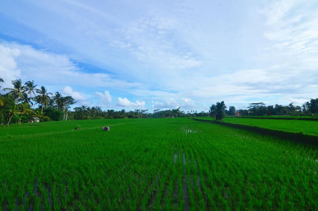 Вилла (Вилла с 2 спальнями), The Loyik Villa Ubud