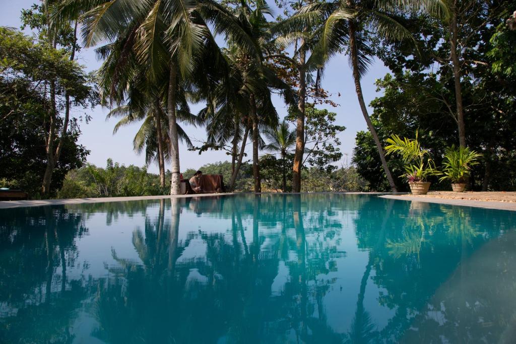 Озера шри ланки. Шри Ланка отель Хиккадува. Озеро Хиккадува. Хиккадува вилла гойяма. Озеро Галла Шри Ланка.