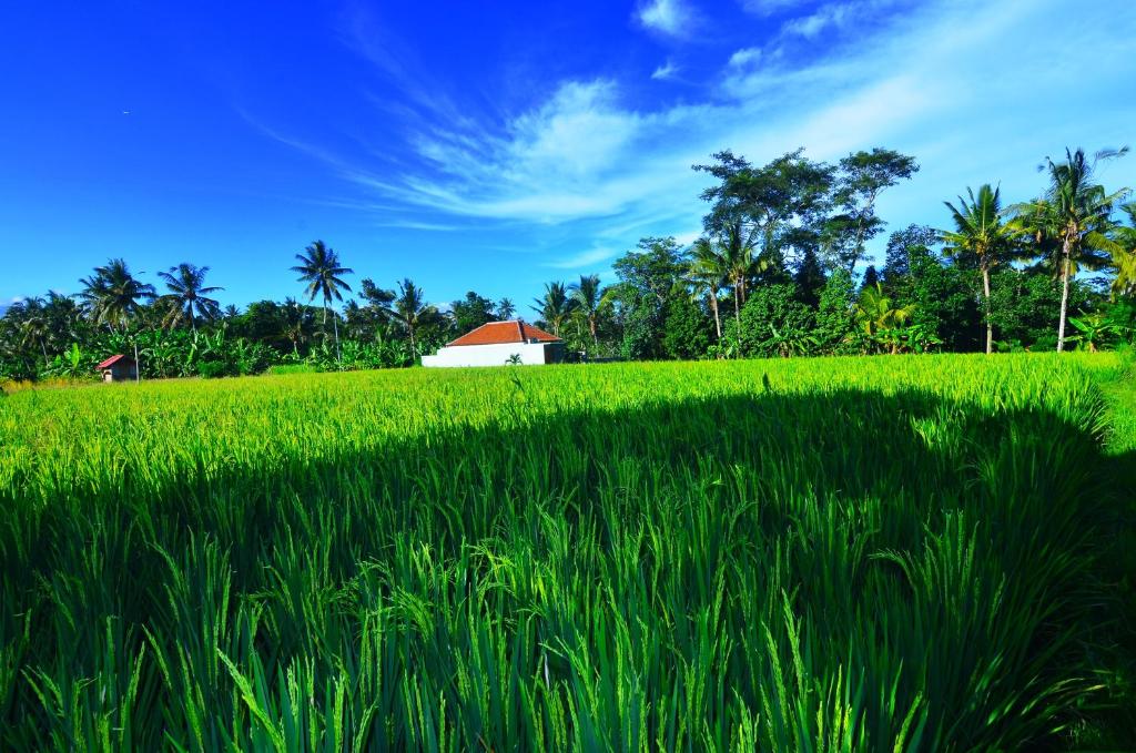 Вилла (Вилла с 2 спальнями), The Loyik Villa Ubud