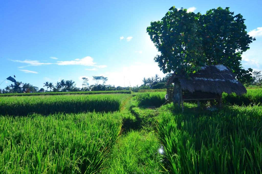 Вилла (Вилла с 2 спальнями), The Loyik Villa Ubud