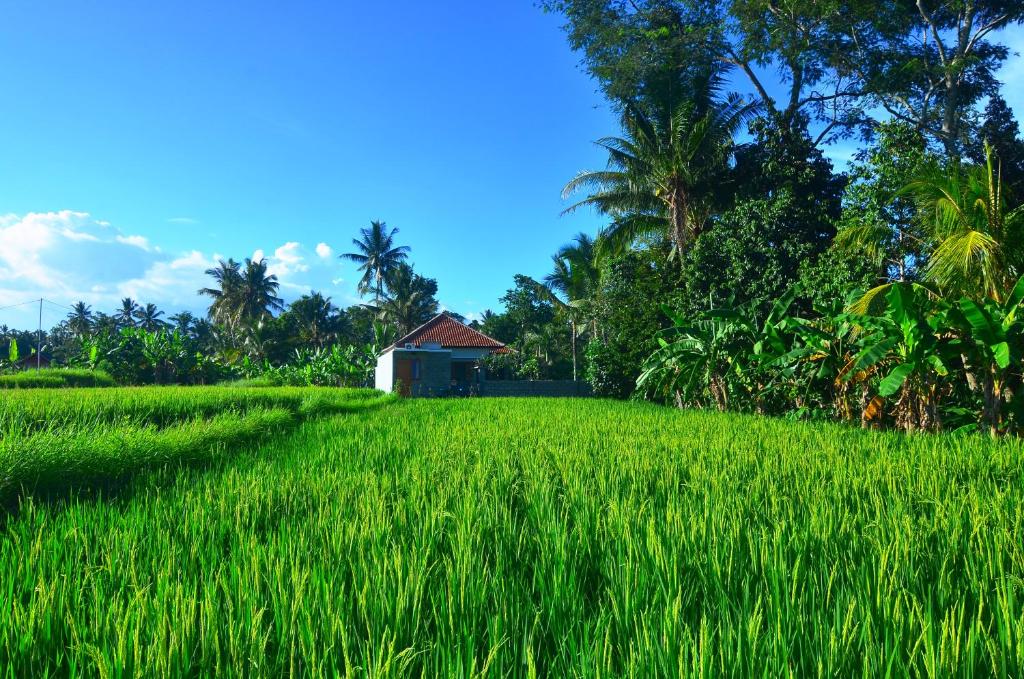 Вилла (Вилла с 2 спальнями), The Loyik Villa Ubud