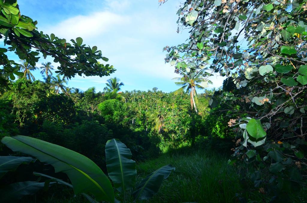 Вилла (Вилла с 2 спальнями), The Loyik Villa Ubud