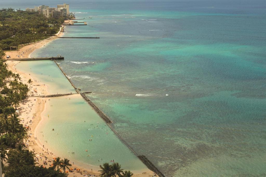 Сьюит (Люкс в пентхаусе), Hyatt Regency Waikiki Beach Resort & Spa