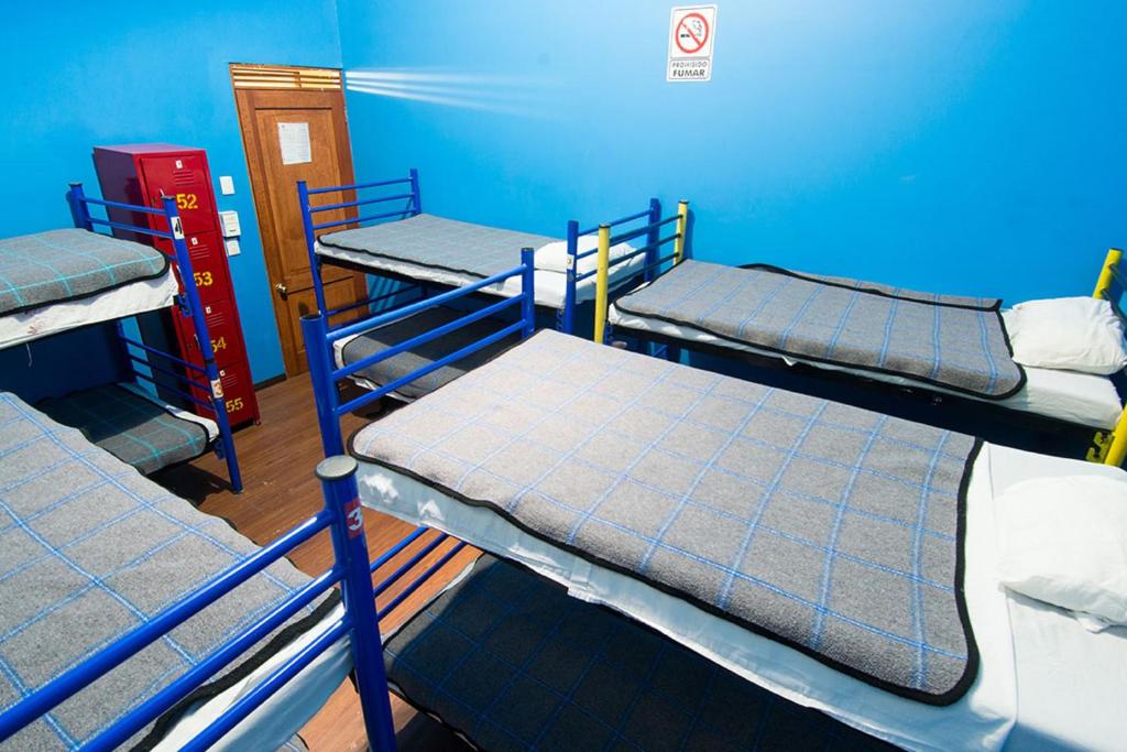 Номер (Односпальная кровать в общем номере для мужчин и женщин (10 спальных мест)) хостела Hostel Amigo, Мехико