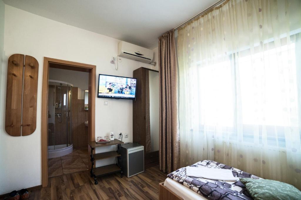 Двухместный (Двухместный номер с 2 отдельными кроватями) гостевого дома Pensiunea Caramida Verde, Крайова