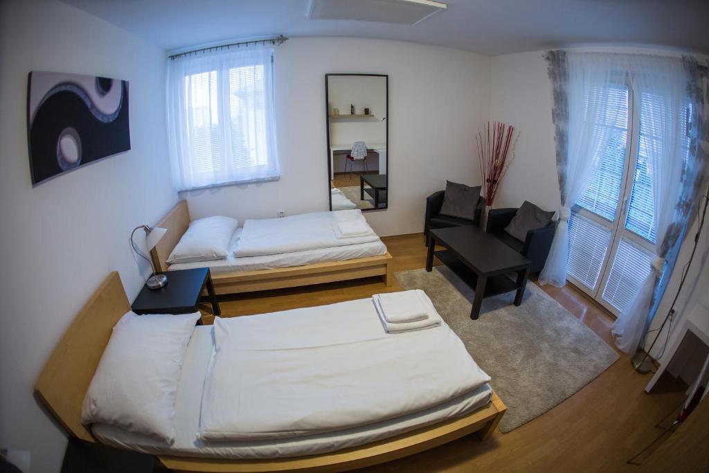Двухместный (Стандартный двухместный номер с 1 кроватью или 2 отдельными кроватями) гостевого дома Vila Tenis, Бржецлав