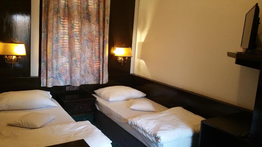 Двухместный (Двухместный номер с 2 отдельными кроватями и ванной комнатой) гостевого дома Conacul Balta Alba, Брэила