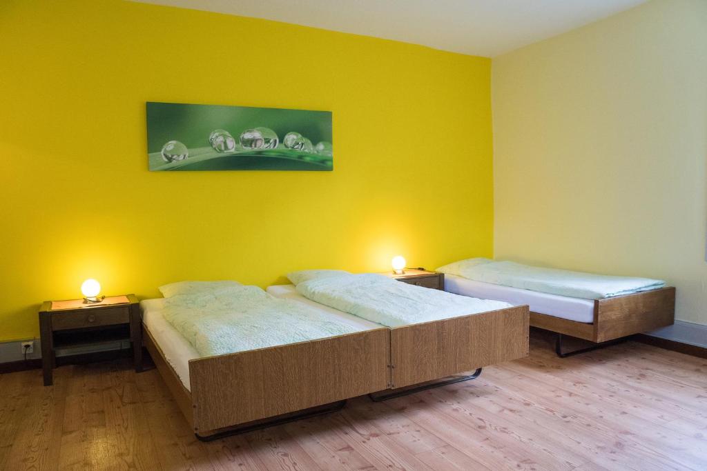 Трехместный (Трехместный номер с общей ванной комнатой) хостела Budget Waldhotel Unspunnen, Интерлакен