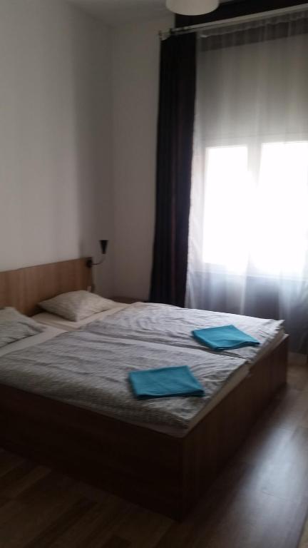 Двухместный (Двухместный номер с 1 кроватью или 2 отдельными кроватями) гостевого дома Omega Guesthouse Budapest, Будапешт