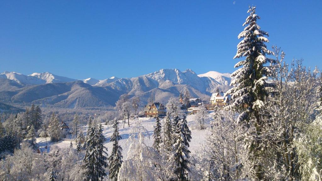 Двухместный (Двухместный номер с 1 кроватью), Pokoje Klemensówka