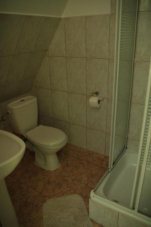 Двухместный (Двухместный номер с 1 кроватью и собственной ванной комнатой) семейного отеля Limba, Буковина-Татшаньска