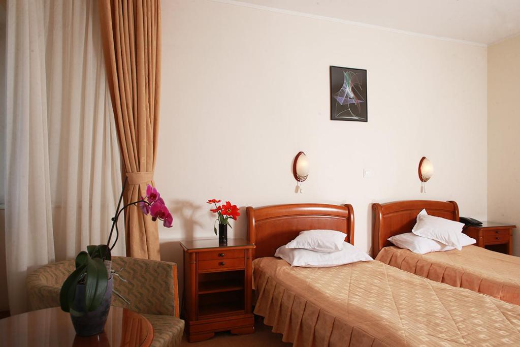 Двухместный (Двухместный номер с 1 кроватью или 2 отдельными кроватями) отеля Hotel Moldova, Яссы