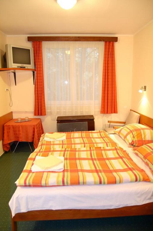 Двухместный (Двухместный номер с 1 кроватью) отеля Hotel Touring, Надьканижа