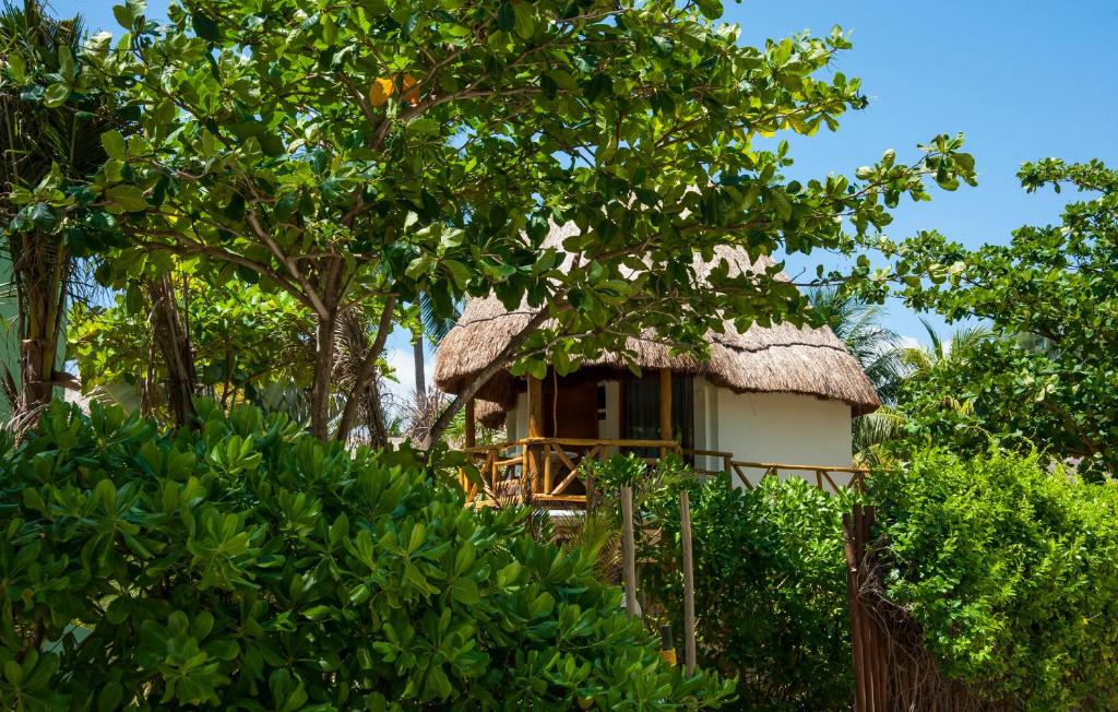 Двухместный (Двухместный номер с 1 кроватью - Treehouse Palapa), Mahekal Beach Resort