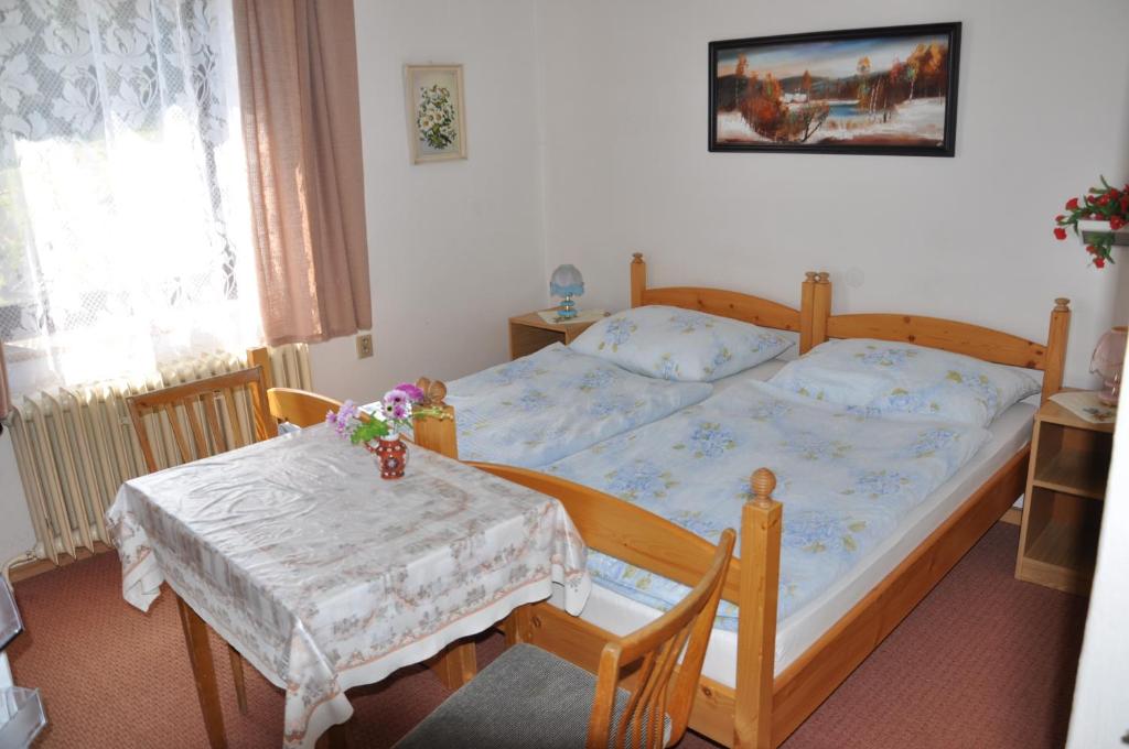 Двухместный (Стандартный двухместный номер с 1 кроватью) гостевого дома Penzion Hainiš, Янске-Лазне