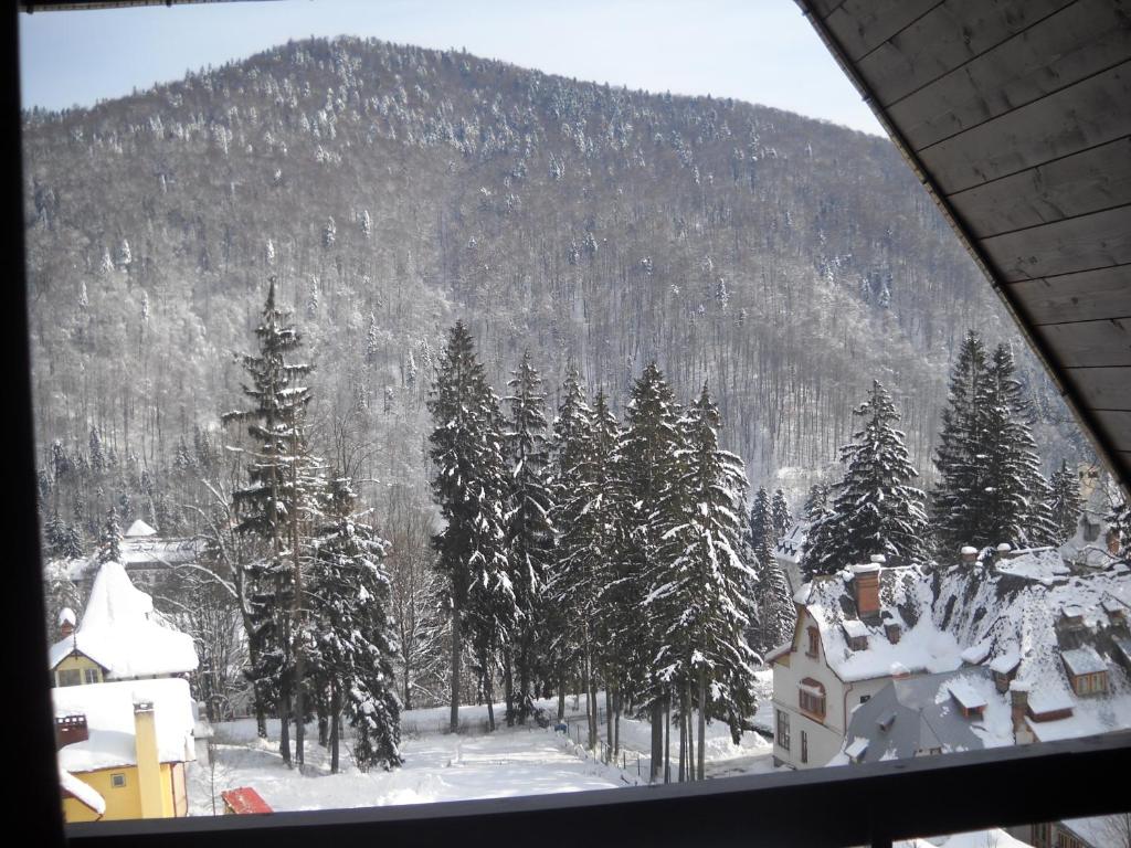 Апартаменты (Апартаменты с 1 спальней), Hotel Silvia Apart Sinaia