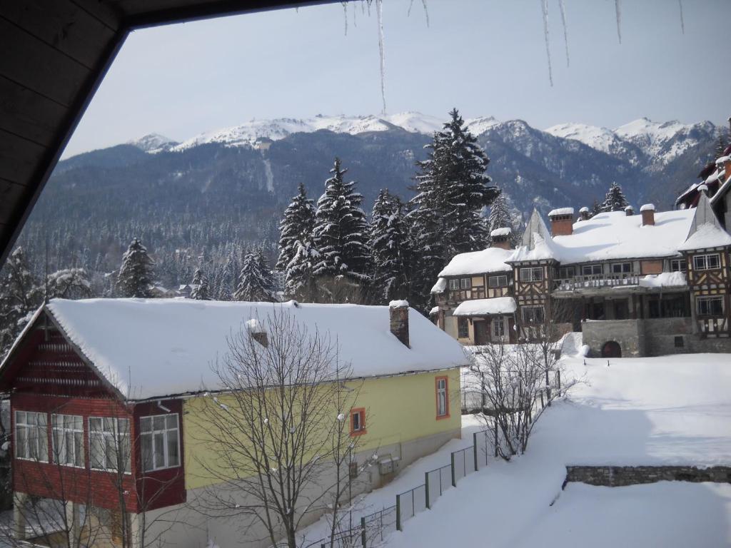 Студио (Номер-студио), Hotel Silvia Apart Sinaia