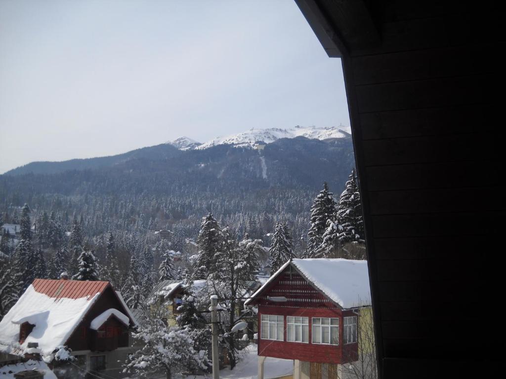 Апартаменты (Апартаменты с 1 спальней), Hotel Silvia Apart Sinaia