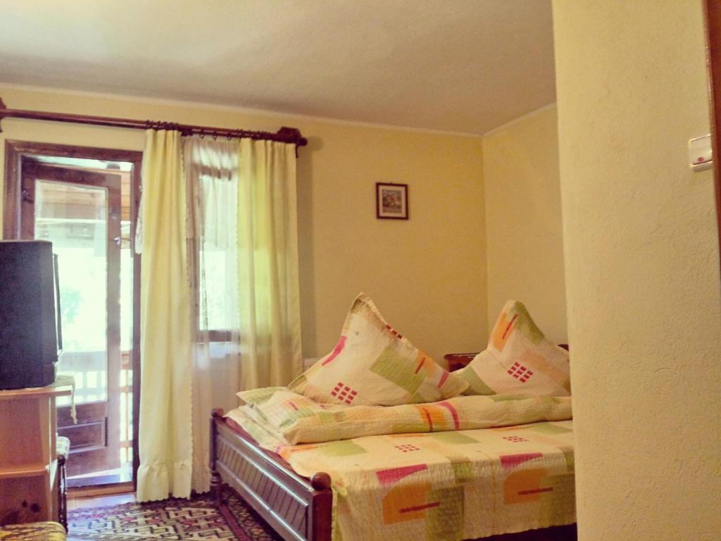 Двухместный (Двухместный номер с 1 кроватью и собственной ванной комнатой) гостевого дома Pensiunea La Muncel, Гура-Гуморулуй