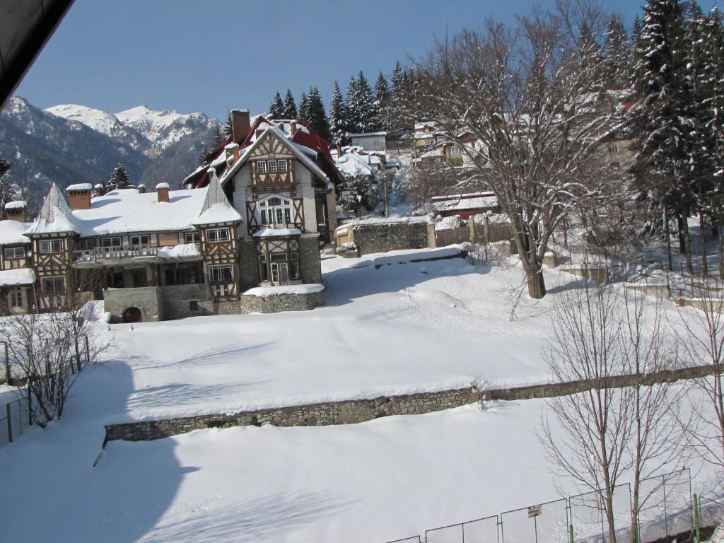 Апартаменты (Апартаменты с 1 спальней), Hotel Silvia Apart Sinaia